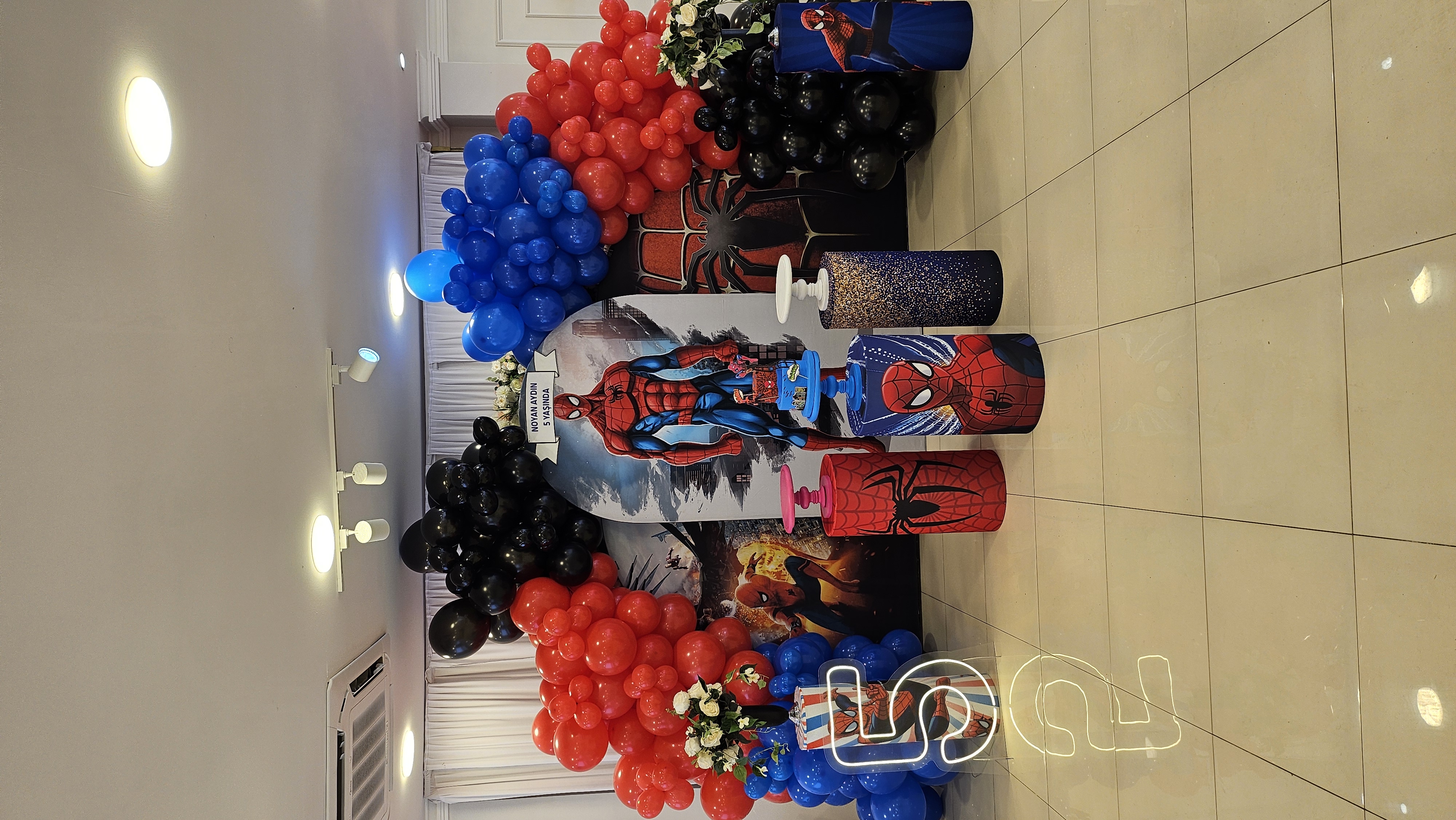 Spiderman Konsepti